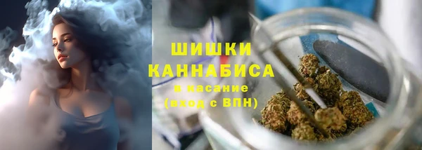 бошки Протвино