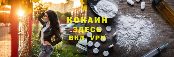бошки Протвино