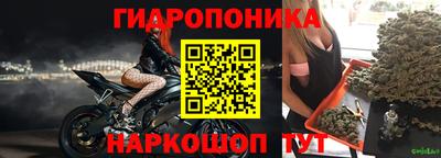 шишки Обь