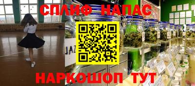 ГАЛЛЮЦИНОГЕННЫЕ ГРИБЫ Новозыбков
