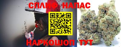 ГАЛЛЮЦИНОГЕННЫЕ ГРИБЫ Новозыбков