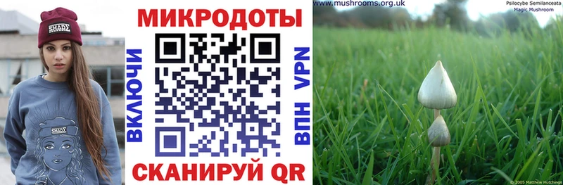 Галлюциногенные грибы мицелий  хочу   Челябинск 